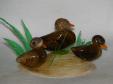seashell_2